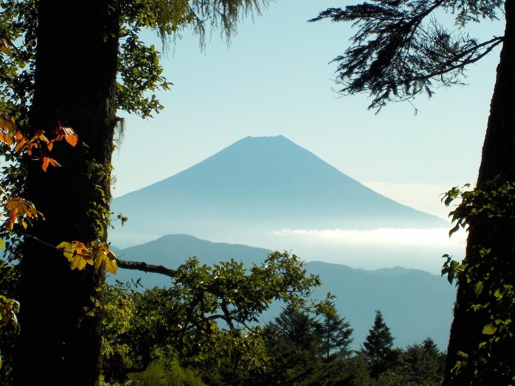 奥之院への道で見えた富士山