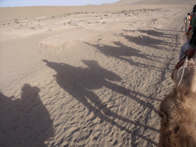 砂漠とラクダの影